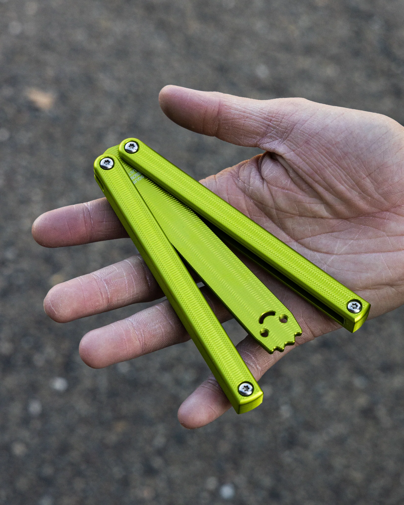 Seasonal Squiddy-AL - Image 4