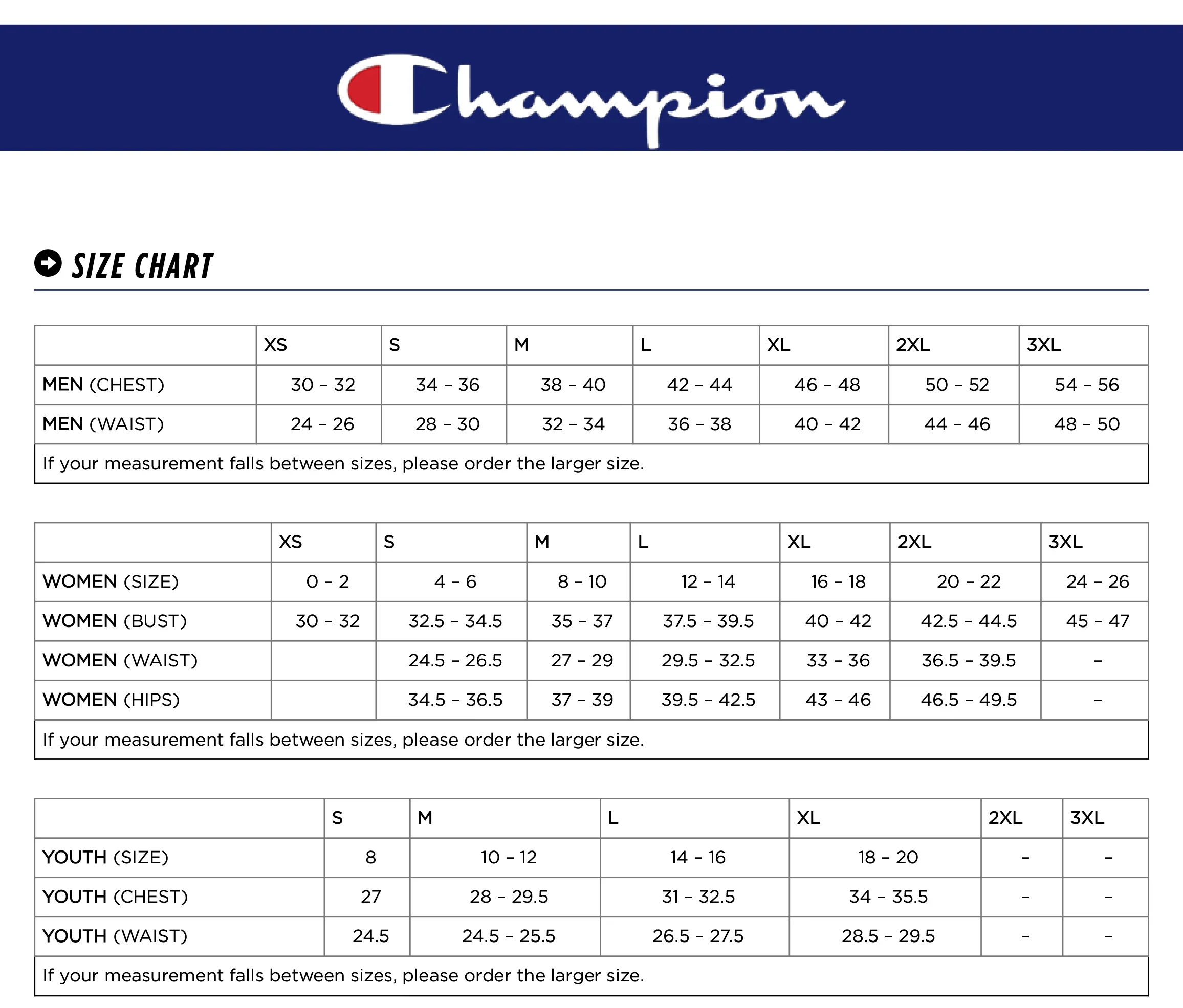 Squiddy Squad Embroidered Champion Brand Hoodie - Image 4